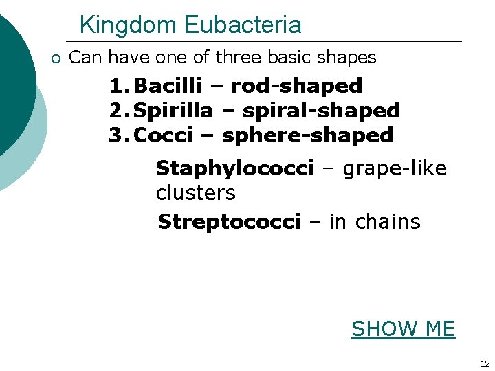 Kingdom Eubacteria ¡ Can have one of three basic shapes 1. Bacilli – rod-shaped