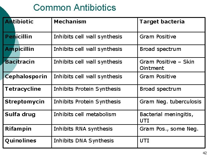 Common Antibiotics Antibiotic Mechanism Target bacteria Penicillin Inhibits cell wall synthesis Gram Positive Ampicillin