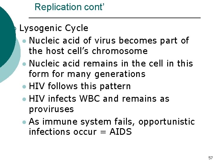 Replication cont’ ¡ Lysogenic Cycle l Nucleic acid of virus becomes part of the