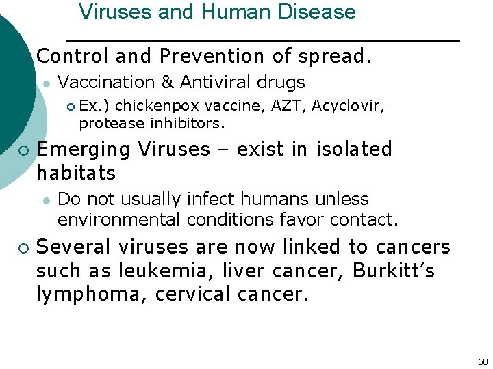 Viruses and Human Disease ¡ Control and Prevention of spread. l Vaccination & Antiviral