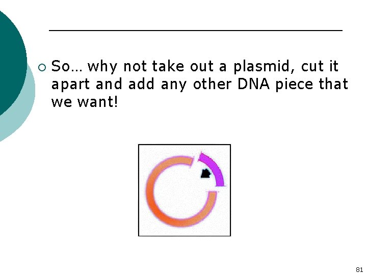 ¡ So… why not take out a plasmid, cut it apart and add any