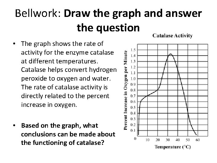 Bellwork: Draw the graph and answer the question • The graph shows the rate