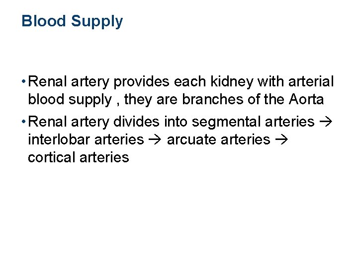 Blood Supply • Renal artery provides each kidney with arterial blood supply , they