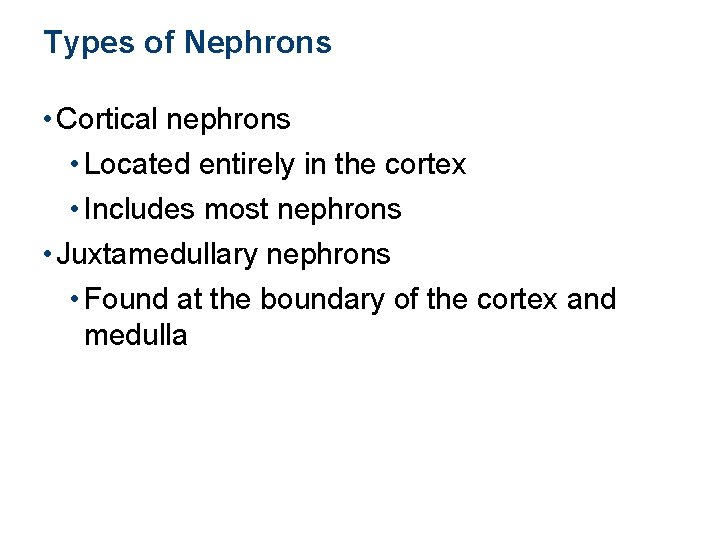 Types of Nephrons • Cortical nephrons • Located entirely in the cortex • Includes