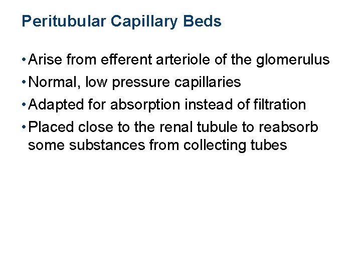 Peritubular Capillary Beds • Arise from efferent arteriole of the glomerulus • Normal, low