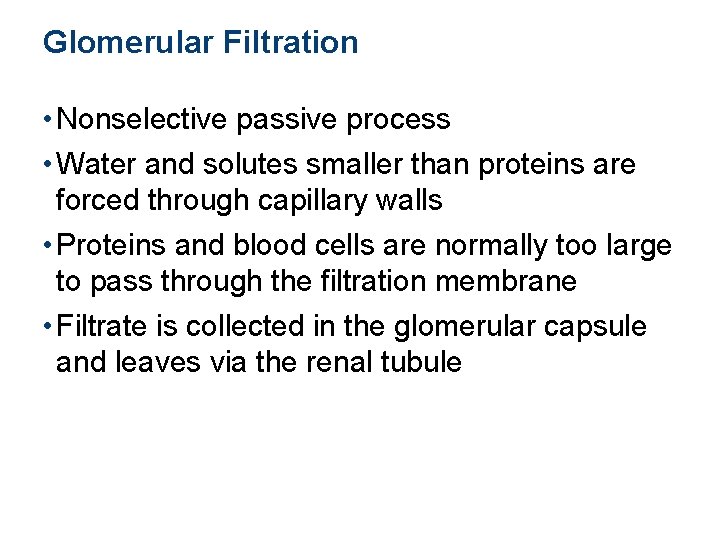 Glomerular Filtration • Nonselective passive process • Water and solutes smaller than proteins are