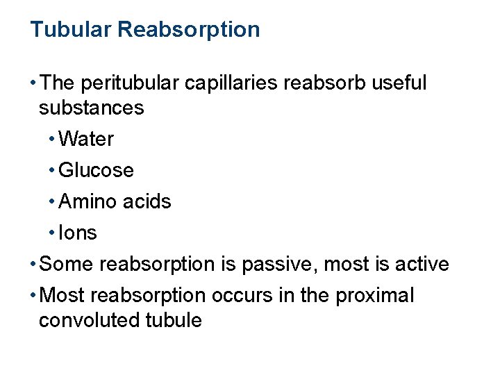 Tubular Reabsorption • The peritubular capillaries reabsorb useful substances • Water • Glucose •