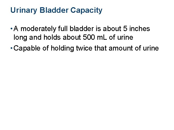 Urinary Bladder Capacity • A moderately full bladder is about 5 inches long and