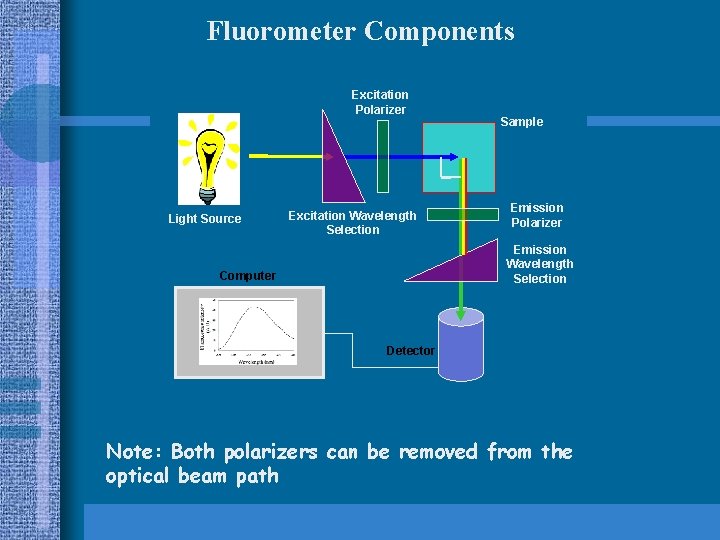Fluorometer Components Excitation Polarizer Light Source Excitation Wavelength Selection Sample Emission Polarizer Emission Wavelength