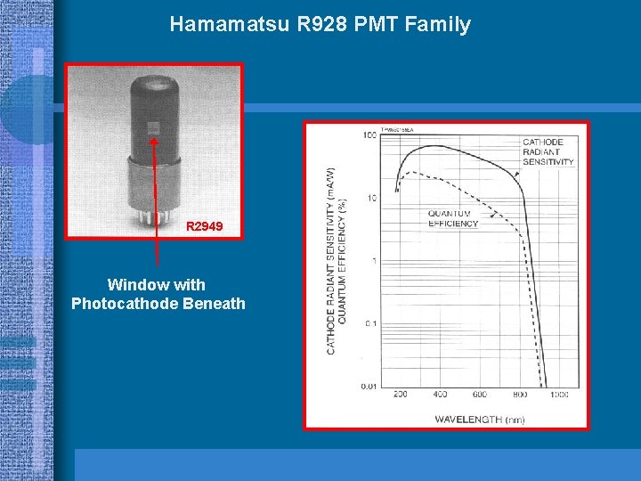 Hamamatsu R 928 PMT Family R 2949 Window with Photocathode Beneath 