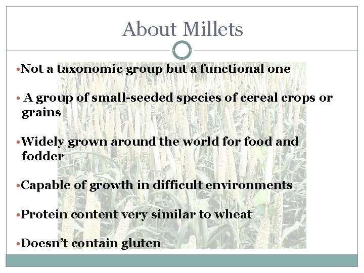 About Millets • Not a taxonomic group but a functional one • A group About Millets • Not a taxonomic group but a functional one • A group