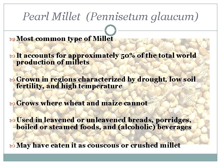 Pearl Millet (Pennisetum glaucum) Most common type of Millet It accounts for approximately 50% Pearl Millet (Pennisetum glaucum) Most common type of Millet It accounts for approximately 50%