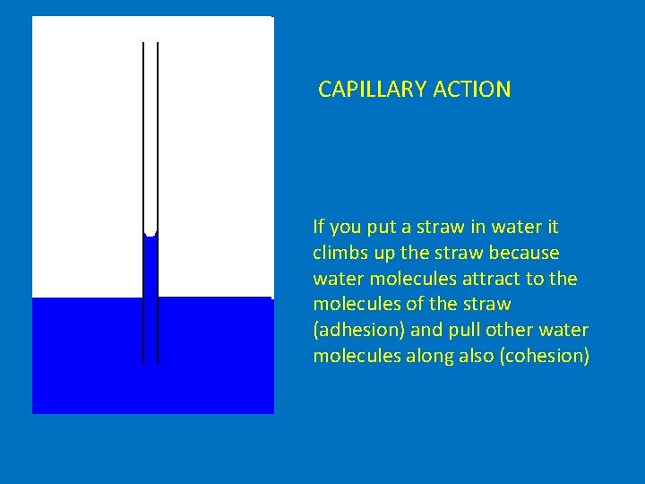 CAPILLARY ACTION If you put a straw in water it climbs up the straw