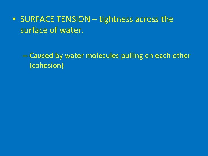  • SURFACE TENSION – tightness across the surface of water. – Caused by