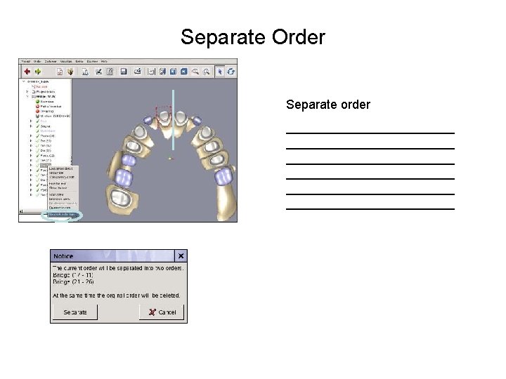 Separate Order Separate order ________________________ ________________________ 