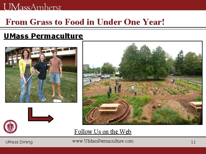 From Grass to Food in Under One Year! UMass Permaculture Follow Us on the From Grass to Food in Under One Year! UMass Permaculture Follow Us on the