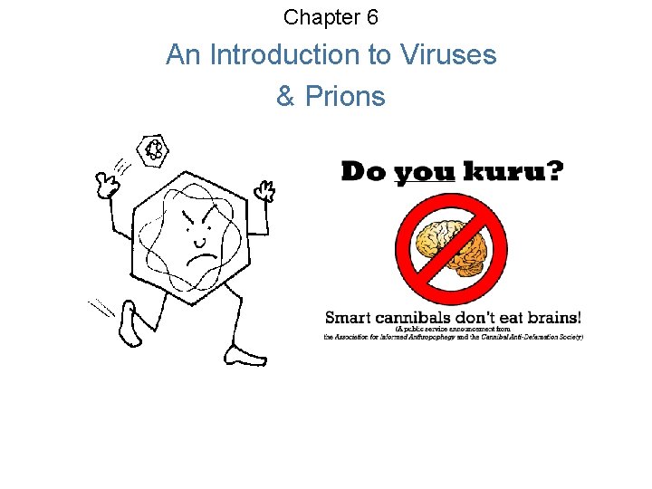 Chapter 6 An Introduction to Viruses & Prions 