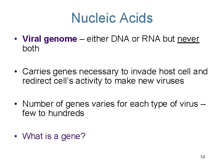 Nucleic Acids • Viral genome – either DNA or RNA but never both •