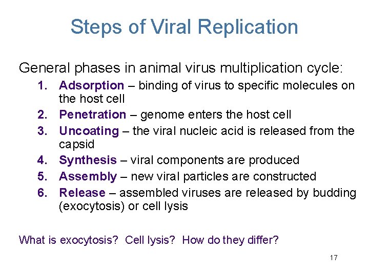 Steps of Viral Replication General phases in animal virus multiplication cycle: 1. Adsorption –