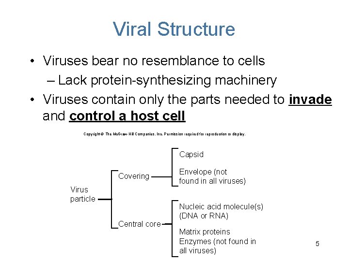 Viral Structure • Viruses bear no resemblance to cells – Lack protein-synthesizing machinery •