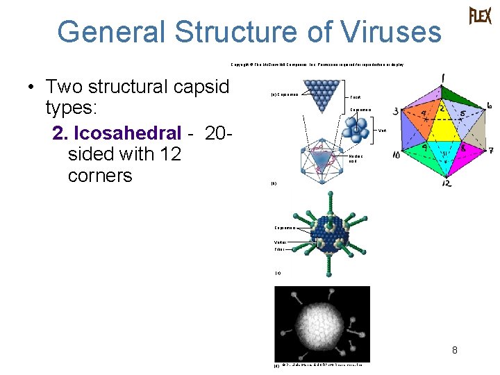 General Structure of Viruses Copyright © The Mc. Graw-Hill Companies, Inc. Permission required for