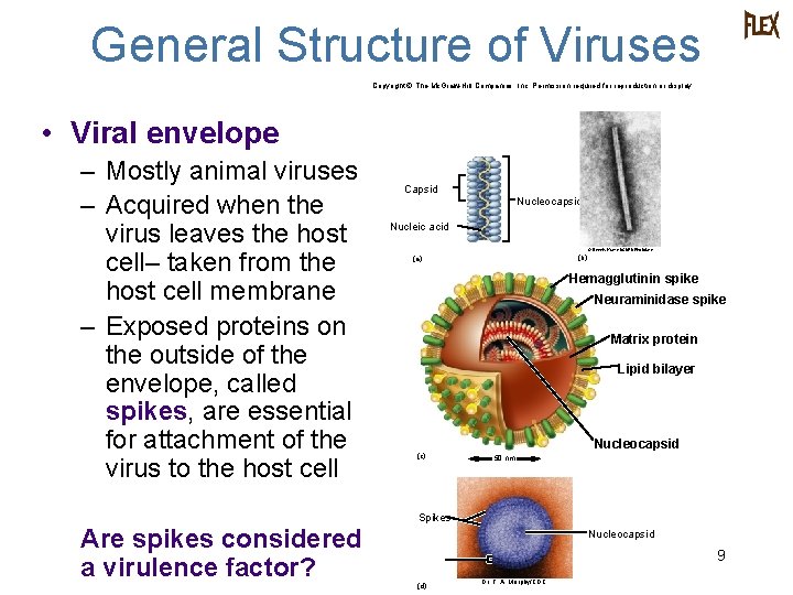 General Structure of Viruses Copyright © The Mc. Graw-Hill Companies, Inc. Permission required for