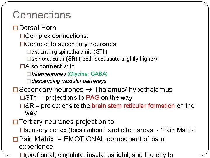 Connections � Dorsal Horn �Complex connections: �Connect to secondary neurones � ascending spinothalamic (STh)