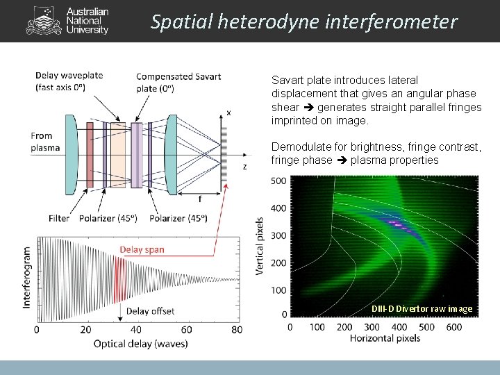 Spatial heterodyne interferometer Savart plate introduces lateral displacement that gives an angular phase shear