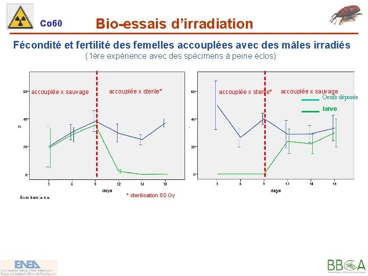 Bio-essais d’irradiation Co 60 Fécondité et fertilité des femelles accouplées avec des mâles irradiés