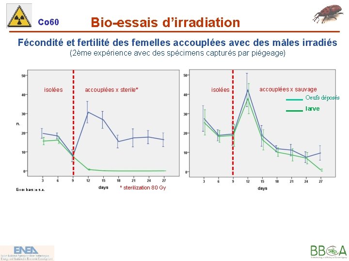 Co 60 Bio-essais d’irradiation Fécondité et fertilité des femelles accouplées avec des mâles irradiés