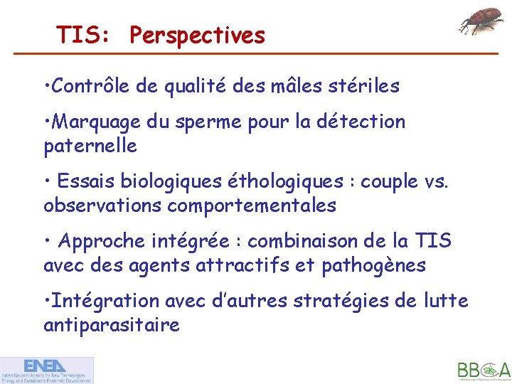 TIS: Perspectives • Contrôle de qualité des mâles stériles • Marquage du sperme pour
