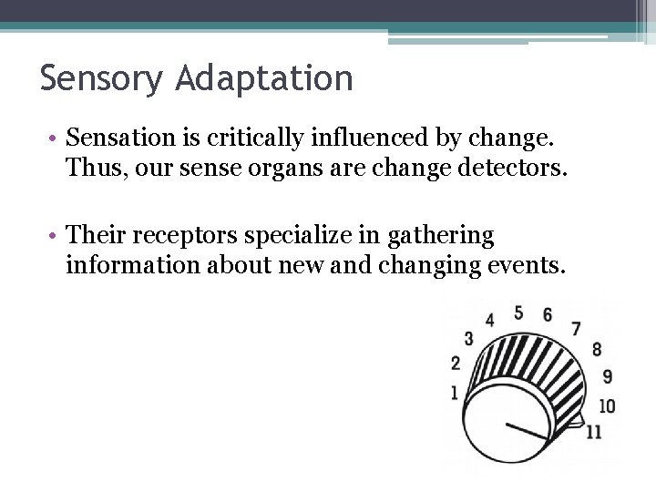Sensory Adaptation • Sensation is critically influenced by change. Thus, our sense organs are Sensory Adaptation • Sensation is critically influenced by change. Thus, our sense organs are