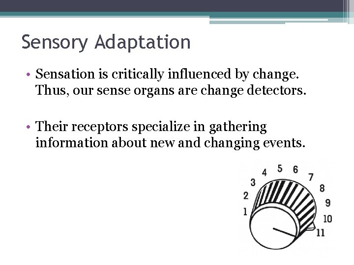 Sensory Adaptation • Sensation is critically influenced by change. Thus, our sense organs are