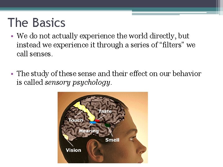 The Basics • We do not actually experience the world directly, but instead we