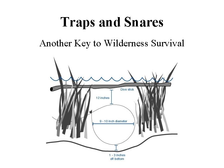 Traps and Snares Another Key to Wilderness Survival 