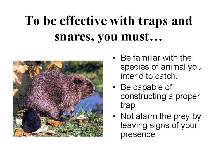 To be effective with traps and snares, you must… • Be familiar with the