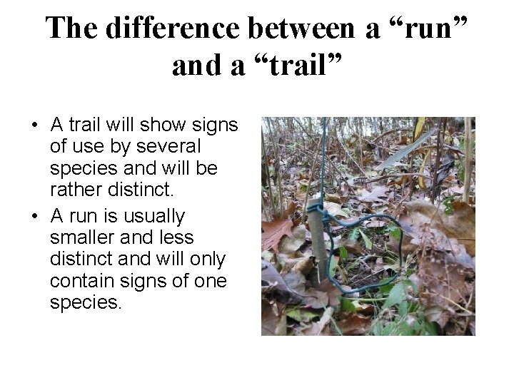 The difference between a “run” and a “trail” • A trail will show signs