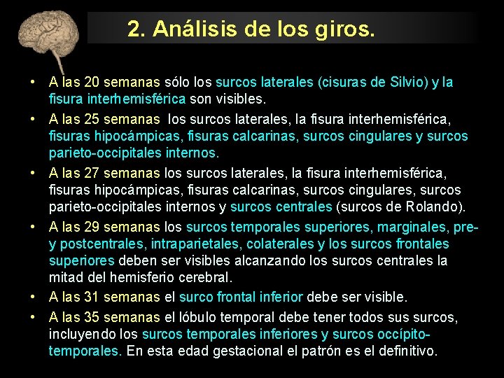 2. Análisis de los giros. • A las 20 semanas sólo los surcos laterales