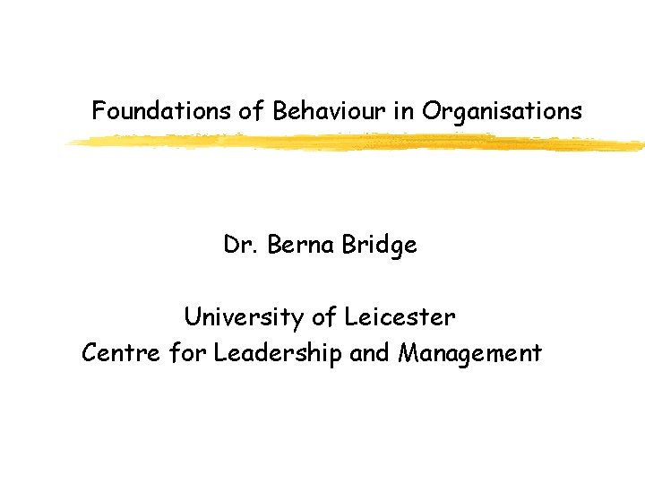 Foundations of Behaviour in Organisations Dr. Berna Bridge University of Leicester Centre for Leadership