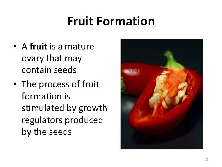 Fruit Formation • A fruit is a mature ovary that may contain seeds •