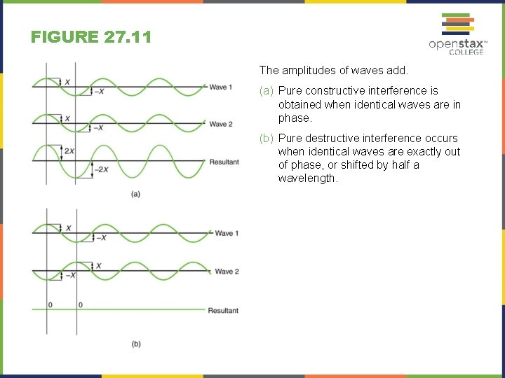 FIGURE 27. 11 The amplitudes of waves add. (a) Pure constructive interference is obtained