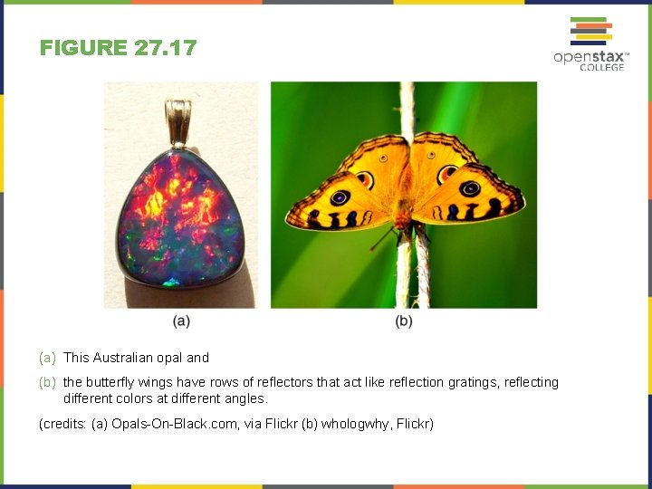 FIGURE 27. 17 (a) This Australian opal and (b) the butterfly wings have rows