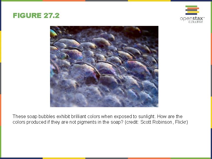 FIGURE 27. 2 These soap bubbles exhibit brilliant colors when exposed to sunlight. How