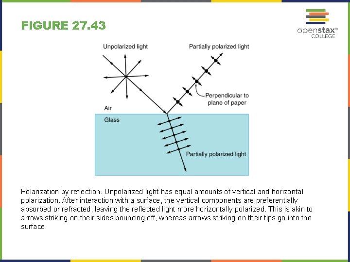 FIGURE 27. 43 Polarization by reflection. Unpolarized light has equal amounts of vertical and