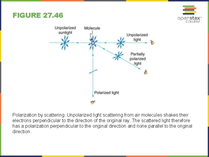 FIGURE 27. 46 Polarization by scattering. Unpolarized light scattering from air molecules shakes their