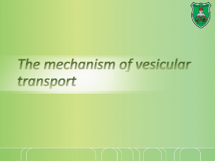 The mechanism of vesicular transport 