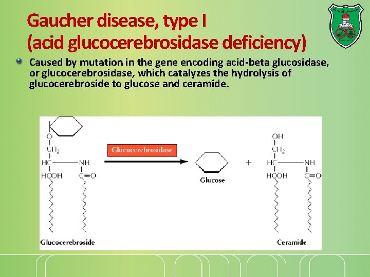 Gaucher disease, type I (acid glucocerebrosidase deficiency) Caused by mutation in the gene encoding