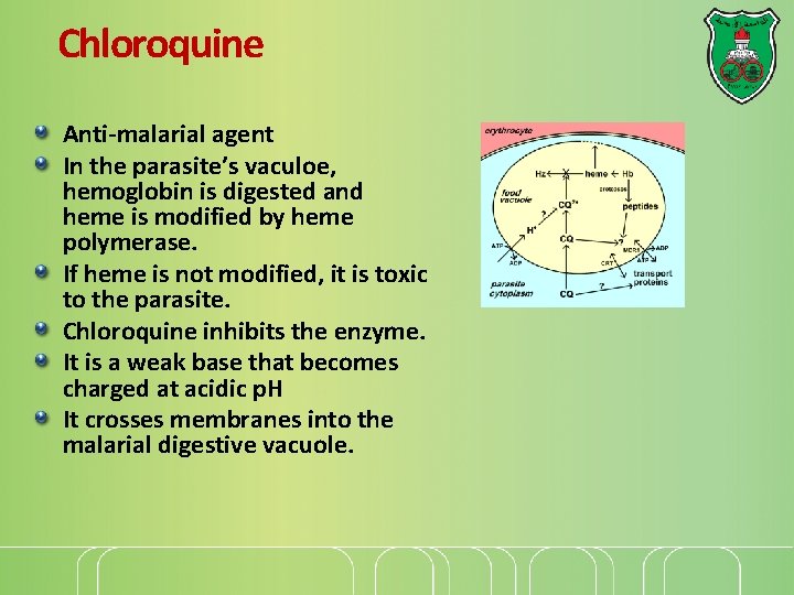 Chloroquine Anti-malarial agent In the parasite’s vaculoe, hemoglobin is digested and heme is modified