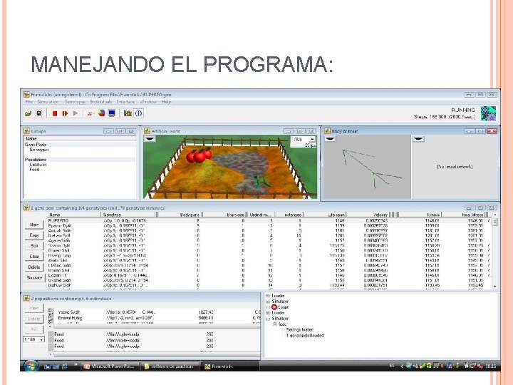 MANEJANDO EL PROGRAMA: MANEJANDO EL PROGRAMA: