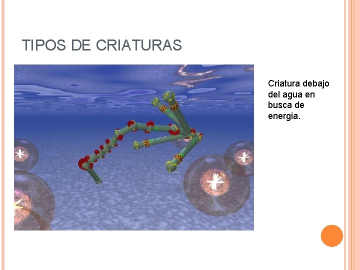 TIPOS DE CRIATURAS Criatura debajo del agua en busca de energia. 